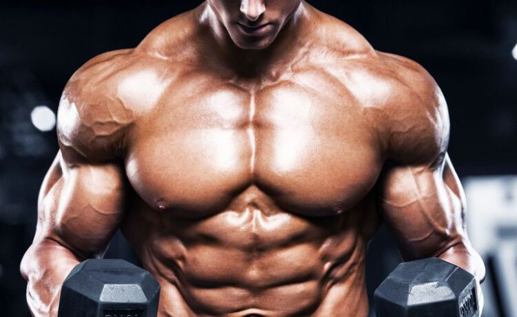 همه چیز درباره ی ورزش بدنسازی ! همه چیز درباره ی ورزش بدنسازی !